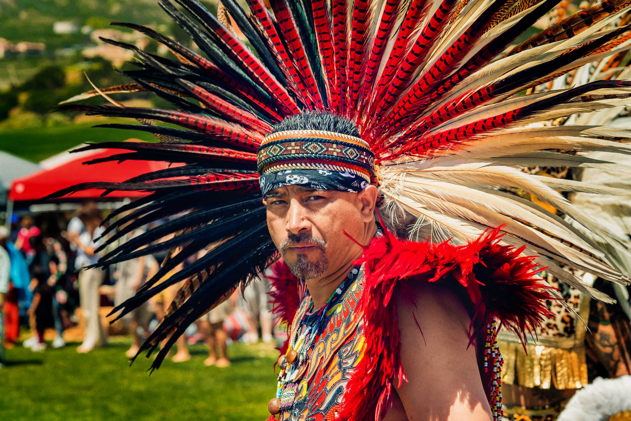 Native American Man. Photo: iStock.com/Nature, food, landscape, travel