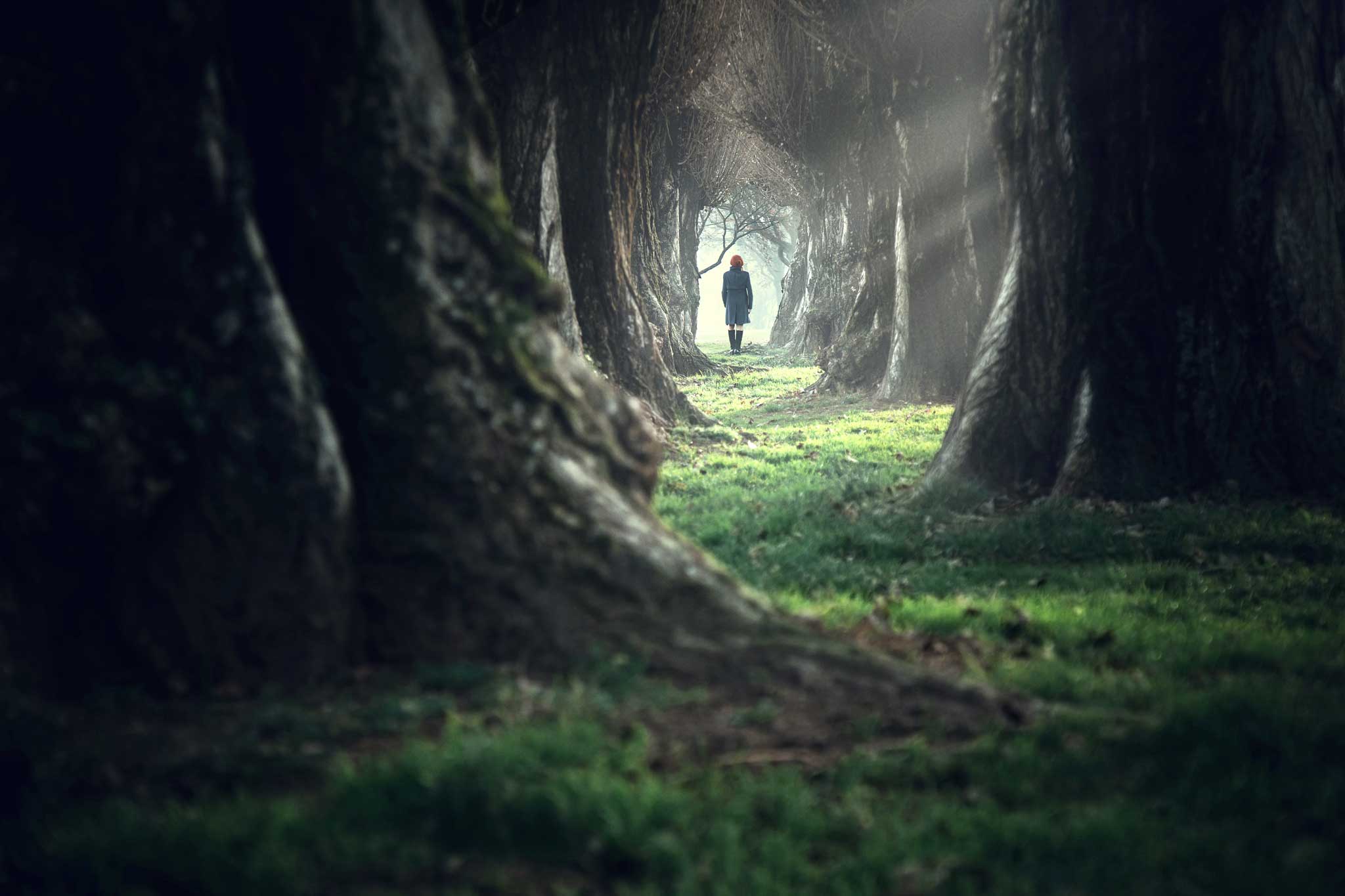 intermission Woman walking in the mystic magic deep forest. Photo: iStock.com/francescoch