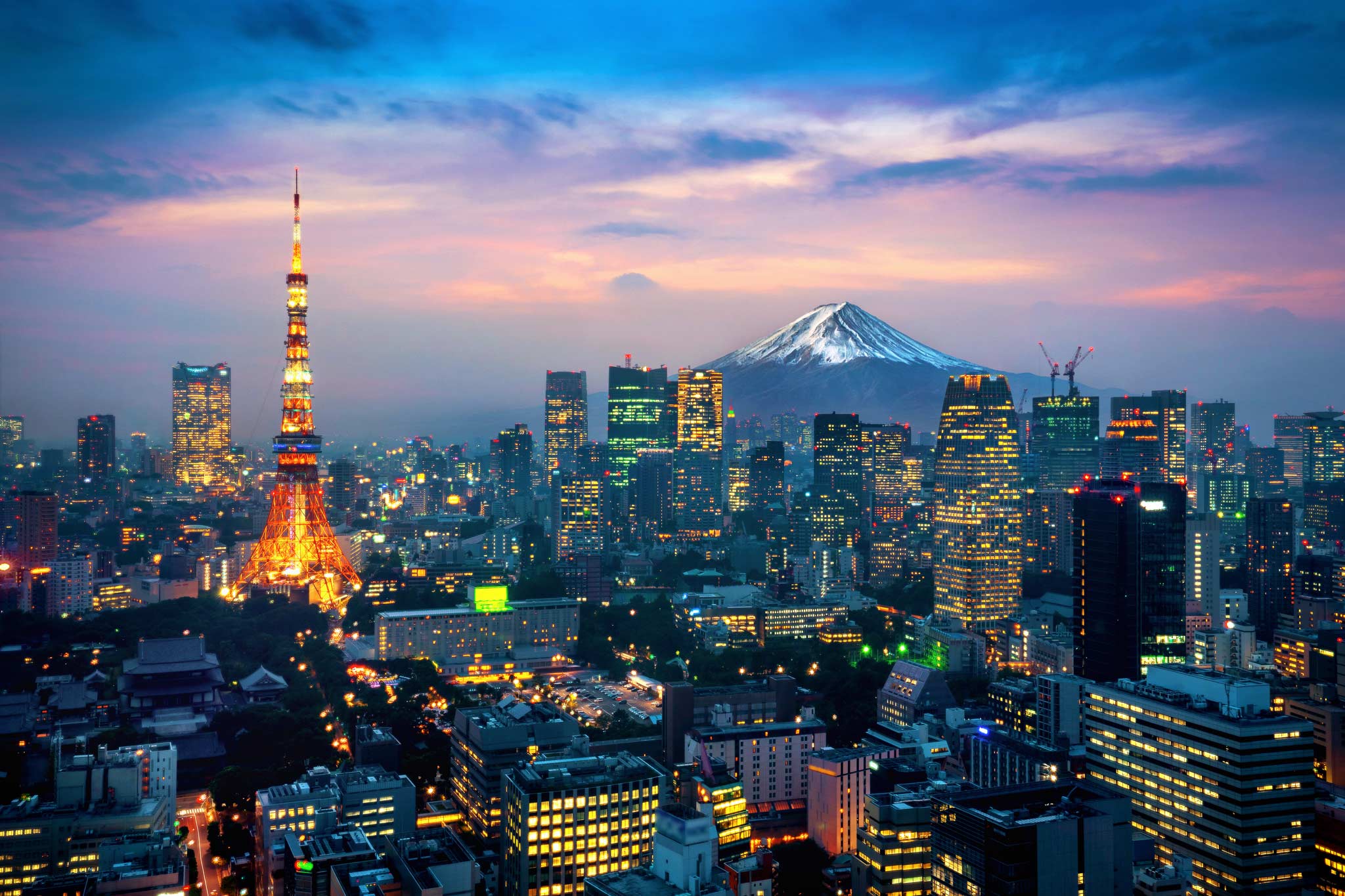 Aerial view of Tokyo cityscape with Fuji mountain in Japan. Photo: iStock.com/TawatchaiPrakobkit