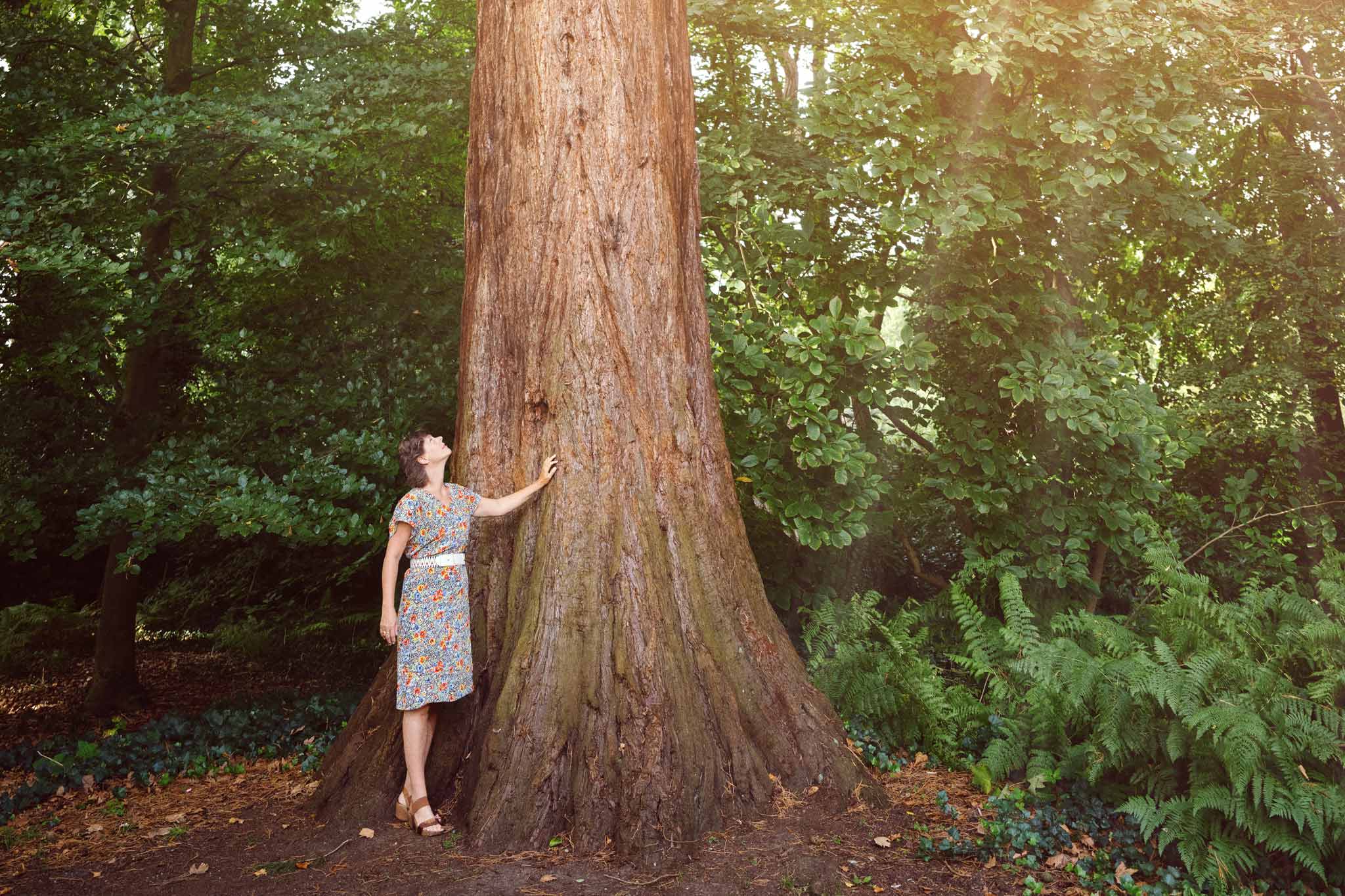 Exterior photo of Carina Weijma standing next to a giant tree in a forest, touching the trunk with her left hand.
